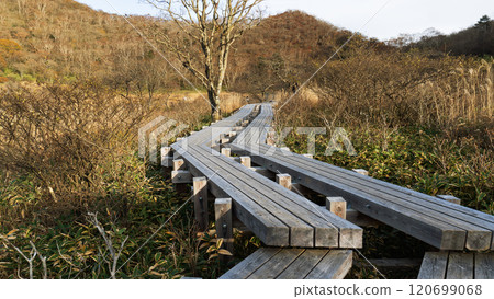 Gunma Prefecture: Mount Akagi's Kakumanbuchi boardwalk [One of Japan's 100 famous mountains] 120699068