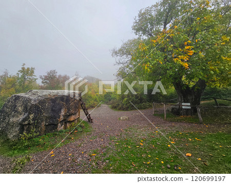 Demerdzhi Nature Park in the morning fog. Rainy autumn weather. Demerdzhi Nature Park in the morning fog. Rainy autumn weather. 120699197