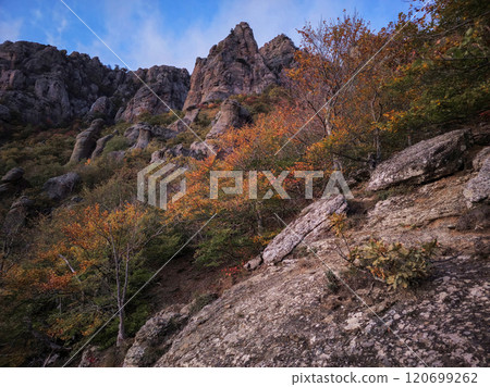 Evening autumn forest. Crimean landscape. Evening autumn forest. Crimean landscape. 120699262