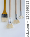 White Natural Bristle Paint Brushes on Light Background 120699313
