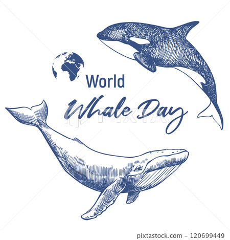 Poster for Whale Day, February 19, 2025. Drawing of an orca and a humpback whale. The concept of global conservation of nature and diversity of marine mammals on planet Earth. Monochrome emblem 120699449