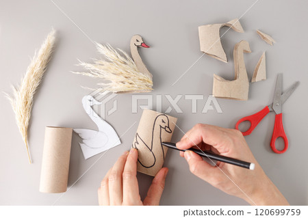 Swan drawing on cardboard roll, hand holding pencil, pampas grass swan, creative craft project in progress 120699759