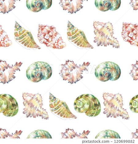 Shell pattern underwater world in watercolor. Murex Endivia, Voluta Virescens, Conch Snail, Turbo shell, Moon, Rosy Wolf snail sea shells with different form. Sea snails can be used as a sticker, a 120699882