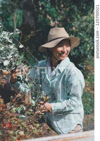 Pruning branches and contractor Pruning branches and contractor 120700021