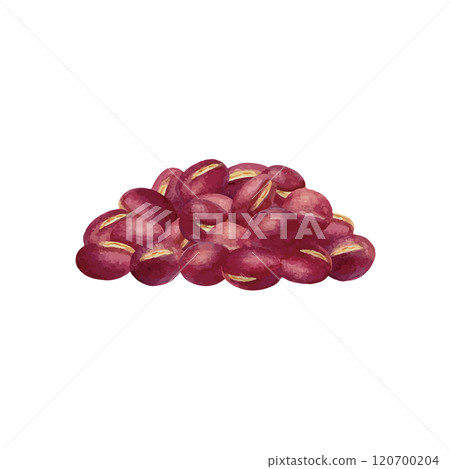 小豆水彩手繪向量圖 120700204