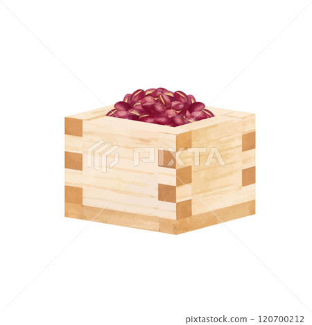 水彩繪製的正方形中紅豆的向量圖解 120700212