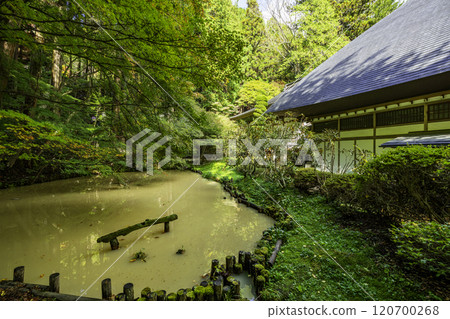 長野縣上田市別處溫泉安樂寺本堂旁的池塘 長野縣上田市別處溫泉安樂寺本堂旁的池塘 120700268