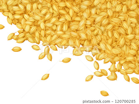 框架背景，散落稻米、稻米、稻殼、穀物、收穫、金色 120700285