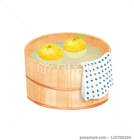 柚子湯水彩手繪圖像的向量圖解 柚子湯水彩手繪圖像的向量圖解 120700304