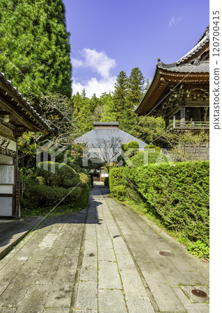 別所溫泉 安樂寺境內 長野縣上田市 別所溫泉 安樂寺境內 長野縣上田市 120700415