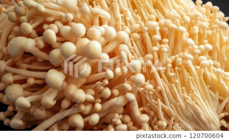 AI image: Lots of Enoki mushrooms 120700604