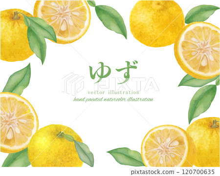 水彩手繪柚子插畫框架背景素材 水彩手繪柚子插畫框架背景素材 120700635