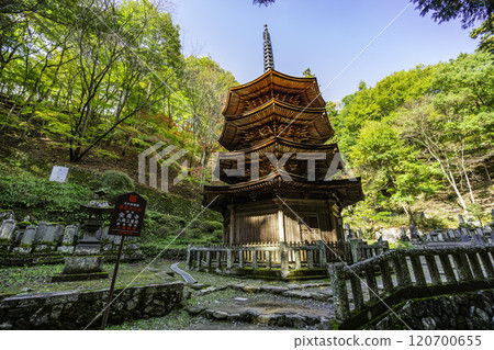 別所溫泉 安樂寺 八角三層塔 長野縣上田市 120700655