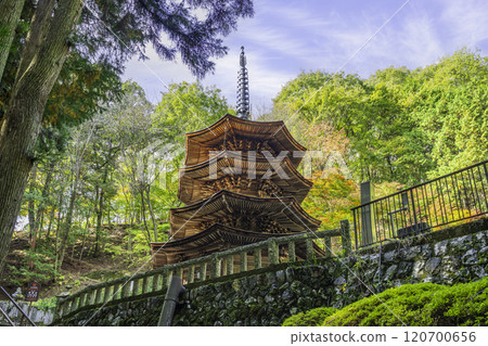 別所溫泉 安樂寺 八角三層塔 長野縣上田市 別所溫泉 安樂寺 八角三層塔 長野縣上田市 120700656