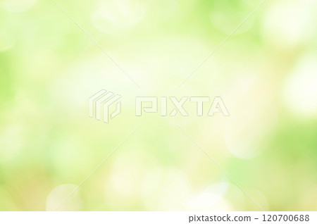 Green soft light and bokeh background material 120700688