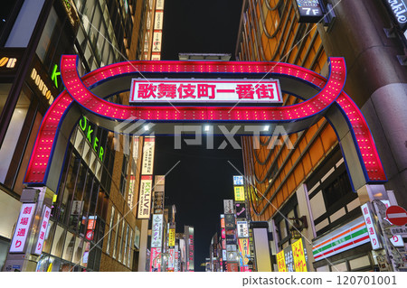 Kabukicho Ichibangai Arch Kabukicho Ichibangai Arch 120701001
