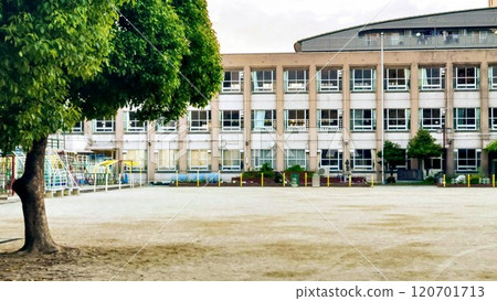 School building School building 120701713