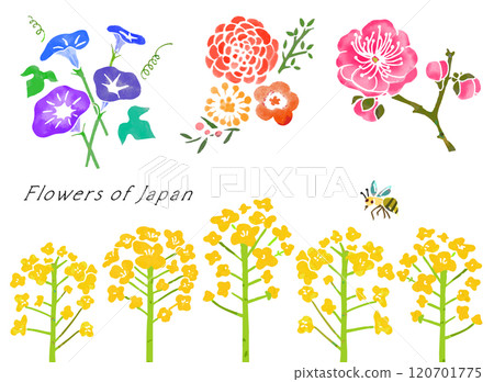 觸感柔軟的日式花朵向量插畫（透明背景） 120701775