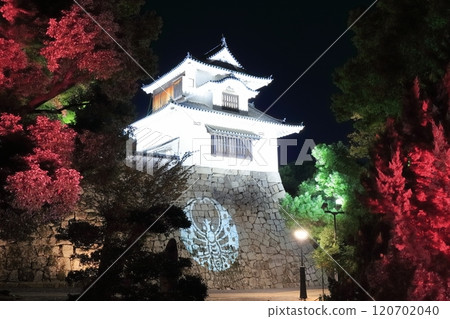 [岡山縣] 岡山城賞月塔的夜景和紅葉照明（令和大整修後） 120702040