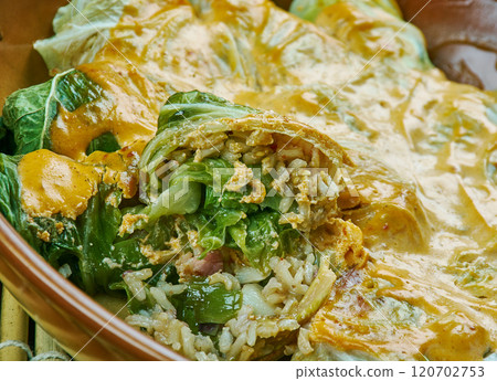 Indian stuffed  curry cabbage 120702753