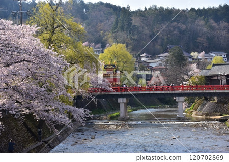 日本岐阜縣高山市，春季高山節，櫻花盛開，中橋上的小吃攤，美麗的新綠，藍天和宮川 120702869