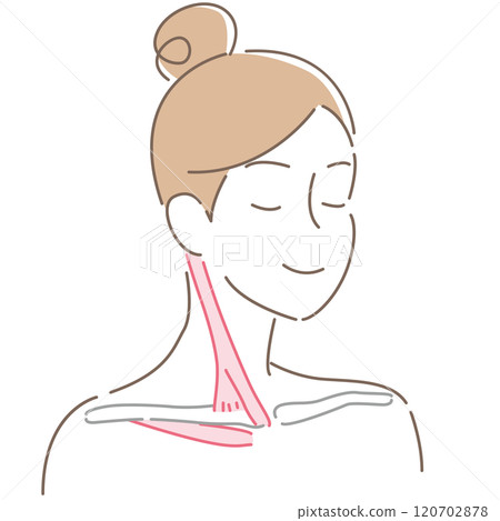 Sternocleidomastoid and subclavius muscles (unnamed) 120702878
