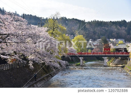 日本岐阜縣高山市,春季高山節,櫻花盛開,中橋上的小吃攤,美麗的新綠,藍天和宮川 日本岐阜縣高山市,春季高山節,櫻花盛開,中橋上的小吃攤,美麗的新綠,藍天和宮川 120702886