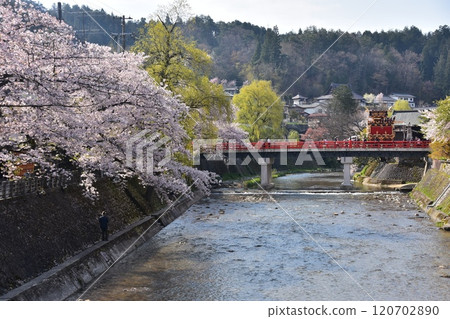 日本岐阜縣高山市，春季高山節，櫻花盛開，中橋上的小吃攤，美麗的新綠，藍天和宮川 120702890