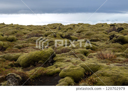 Lava field covered by moss, south Iceland Lava field covered by moss, south Iceland 120702979