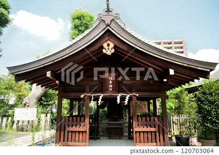 Ikukunitama Shrine (Sumiyoshi Shrine) [Ikutamacho, Tennoji Ward, Osaka City] 120703064
