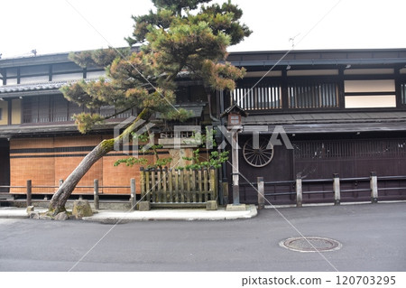 日本岐阜縣的春天。高山市中心的老城區景觀。具有歷史感的日本房屋和宏偉的松樹。 日本岐阜縣的春天。高山市中心的老城區景觀。具有歷史感的日本房屋和宏偉的松樹。 120703295