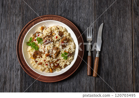 beef and rice in white bowl, top view beef and rice in white bowl, top view 120703495
