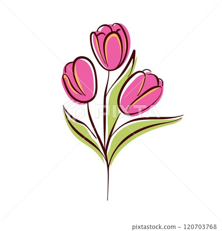 Tulip flower with pink petals in simple flat style, ideal for spring theme, botanical illustration, floral art and design project. Isolated on white background. 120703768