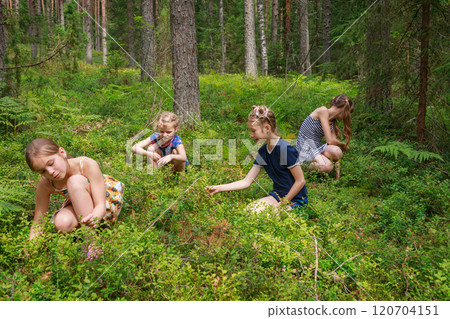 Children picking berries in a summer forest 120704151