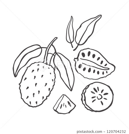 Soursop fruit hand drawn set 120704232