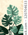 Tropical Monstera Leaves Illustration on Cream Background 120704633