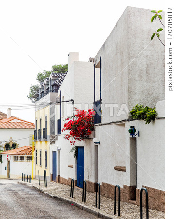 Street with whitewashed houses featuring blue doors and windows, accented by vibrant red flowers and green plants Street with whitewashed houses featuring blue doors and windows, accented by vibrant red flowers and green plants 120705012