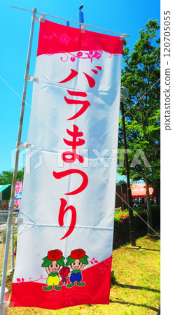 伊那町制度施行紀念公園玫瑰園「2024玫瑰節」的風景(埼玉縣北足立郡伊那町) 伊那町制度施行紀念公園玫瑰園「2024玫瑰節」的風景(埼玉縣北足立郡伊那町) 120705055