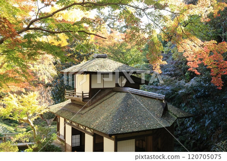 一座被秋葉覆蓋的建築 120705075