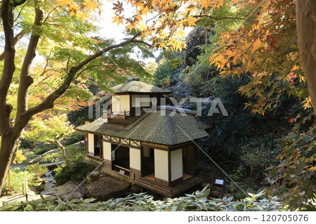 在秋葉包裹的日本房子 120705076