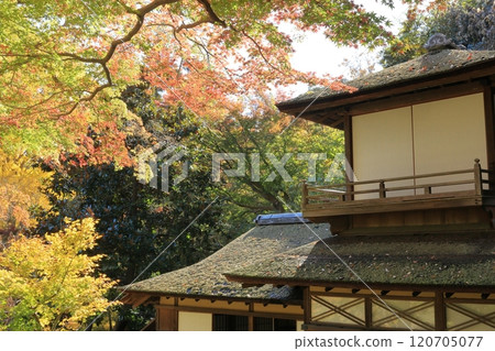 秋天的落葉覆蓋著古老的建築 秋天的落葉覆蓋著古老的建築 120705077