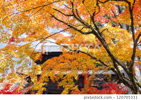 南禪寺在秋天 120705331