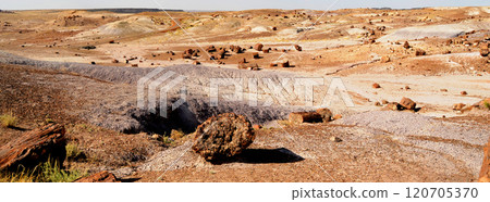 Panorama Bleak Landscape Petrified Forest National Park Arizona Panorama Bleak Landscape Petrified Forest National Park Arizona 120705370