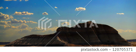 Panorama Bleak Landscape Petrified Forest National Park Arizona 120705371