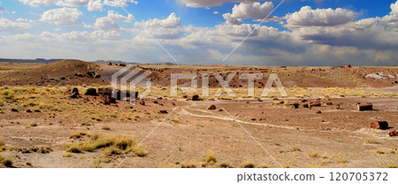 Panorama Bleak Landscape Petrified Forest National Park Arizona 120705372