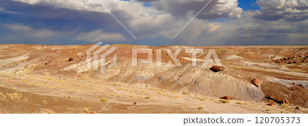 Panorama Bleak Landscape Petrified Forest National Park Arizona 120705373