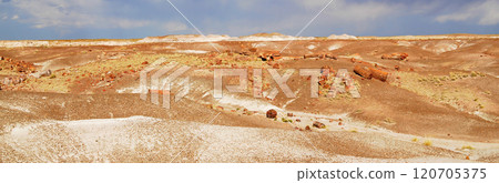 Panorama Bleak Landscape Petrified Forest National Park Arizona 120705375