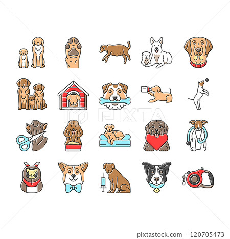 dog breeding genetics pedigree icons set vector dog breeding genetics pedigree icons set vector 120705473