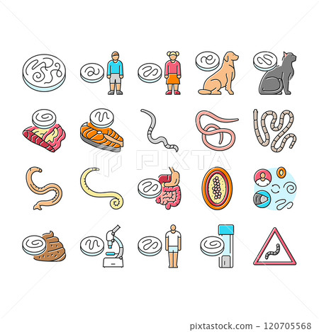 helminth worm parasite roundworm icons set vector 120705568