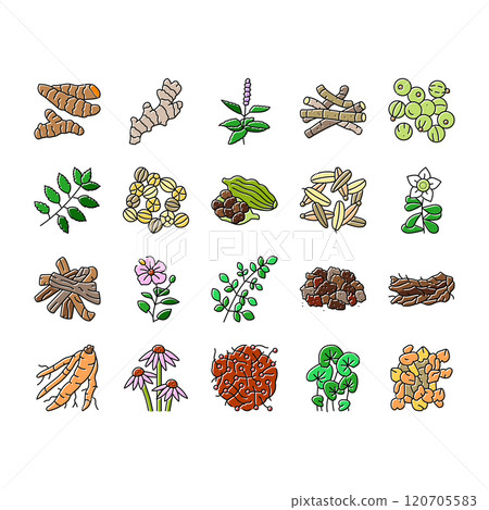 ayurvedic herbs medicine health icons set vector 120705583